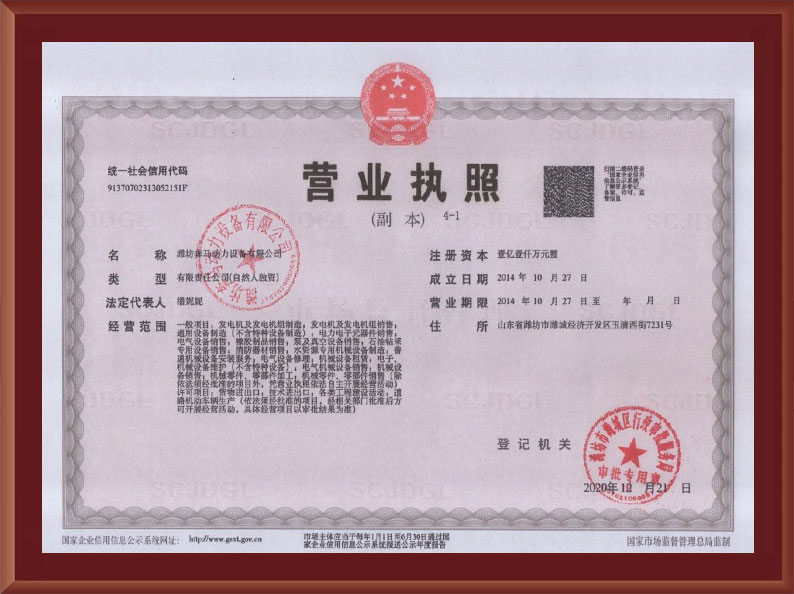 Company License